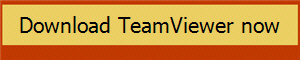 Download TeamViewer now